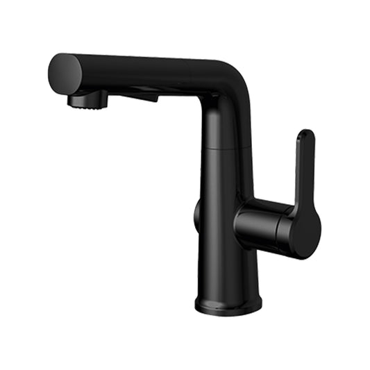 Carysil Alpha 03 Modern Kitchen Faucet with Pull-Out Spray, High Arc with 360-Degree Swivel, Single-Lever Handle for Hot/Cold Water, Matt Black Finish, 5-Year Warranty